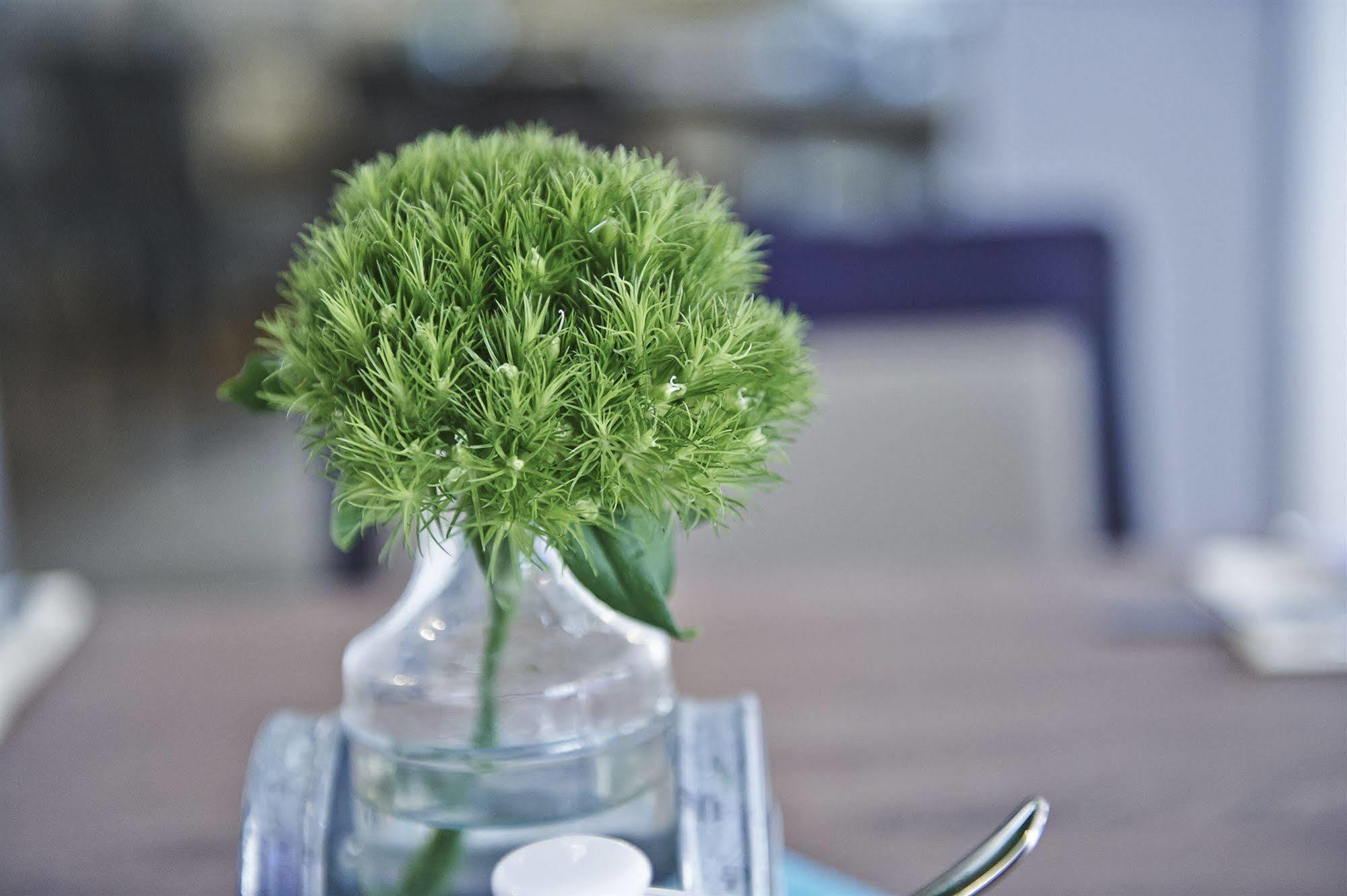 Elch Boutique Hotel 3*